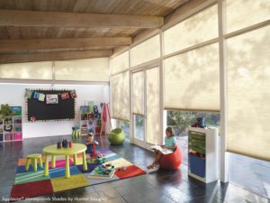 Applause honeycomb shades for kids room