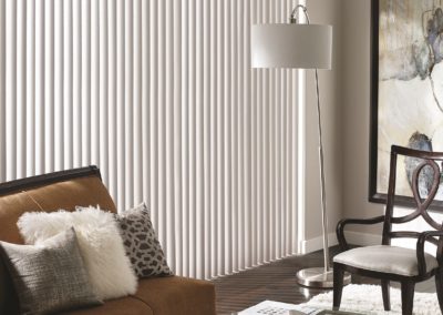 cadence vertical blinds in the living room