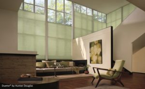 duette honeycomb shades for living room