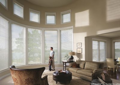 silhouette solar shades in living room