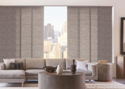 skyline panel track shades in the living room