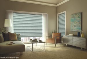 solera roman shades for an office